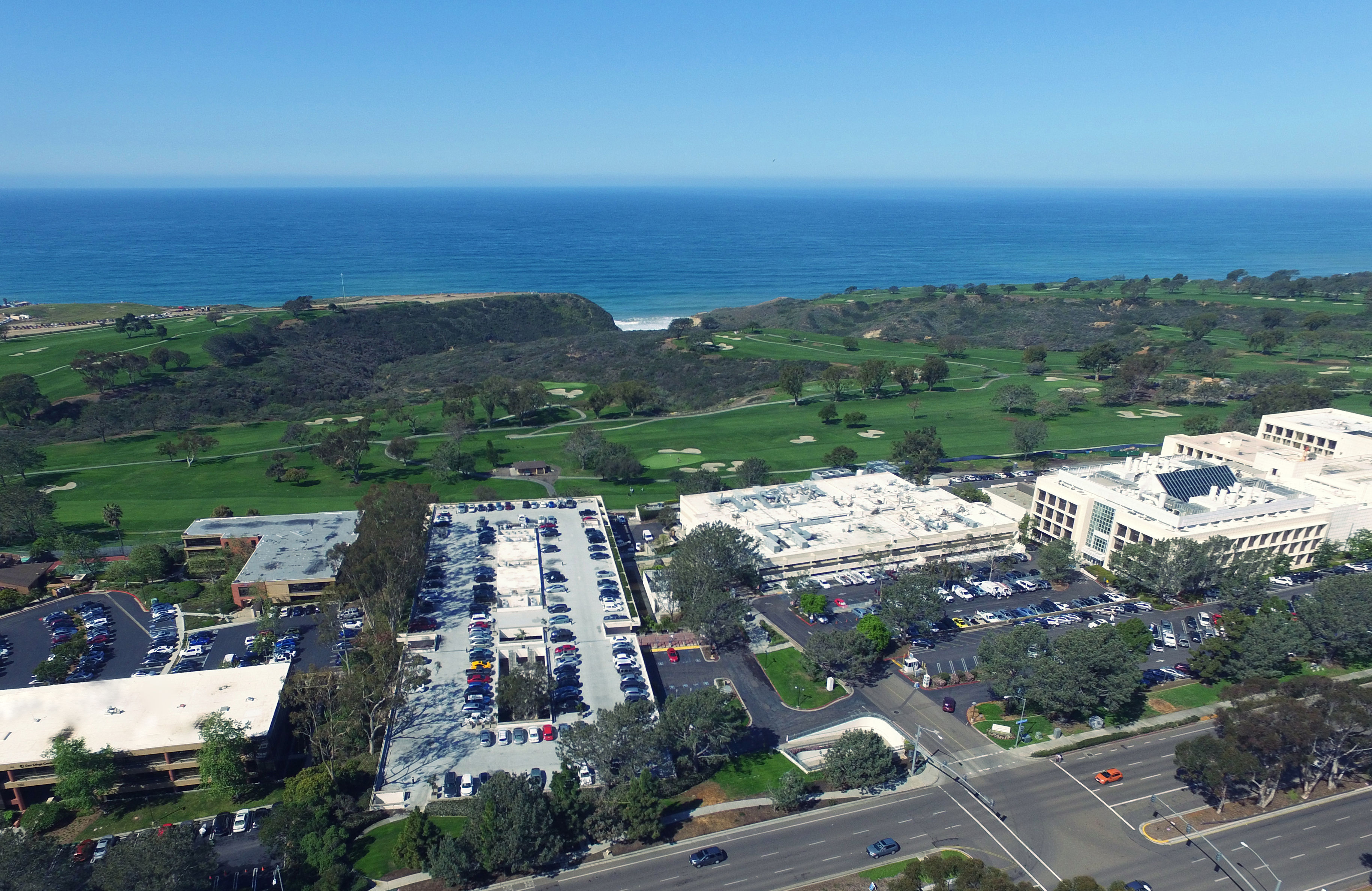 The Scripps Research Institute